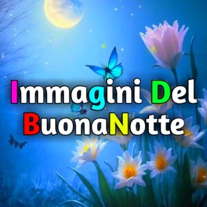 Read more about the article Immagini Del Buonanotte Nuove Gratis 2025