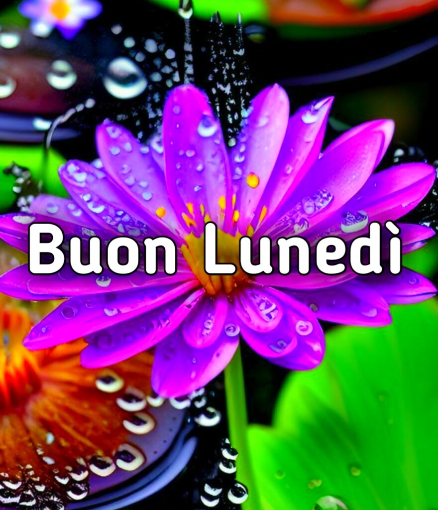 Affettuoso Felice Buongiorno Buon Lunedi Buon Inizio Settimana