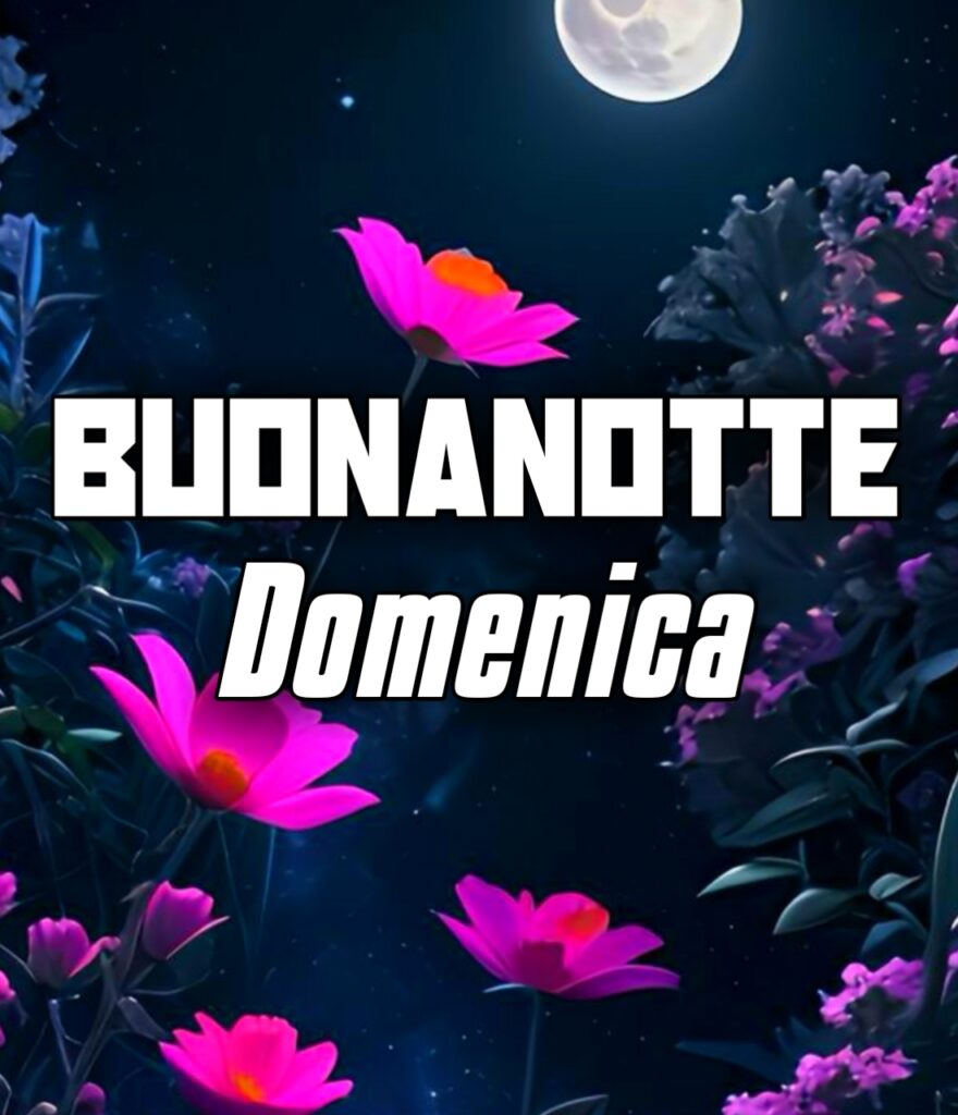 Anche Questa Domenica è Finita Buonanotte