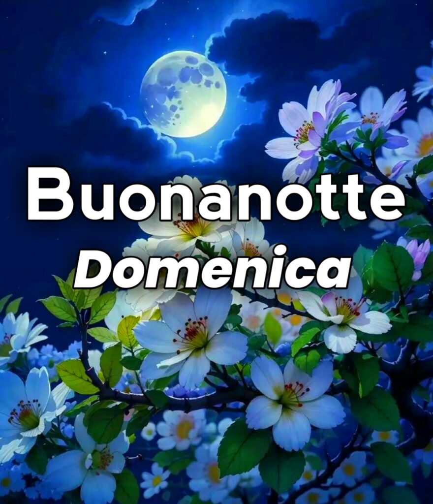 Anche Questa Domenica è Volata Via Buonanotte