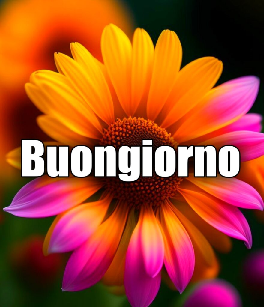 Augurando It Buongiorno Gratis Whatsapp