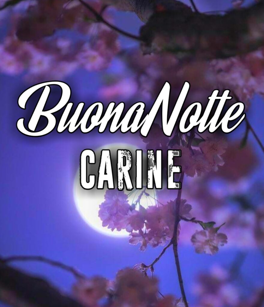 Bellissime Carine Buonanotte Immagini Nuove