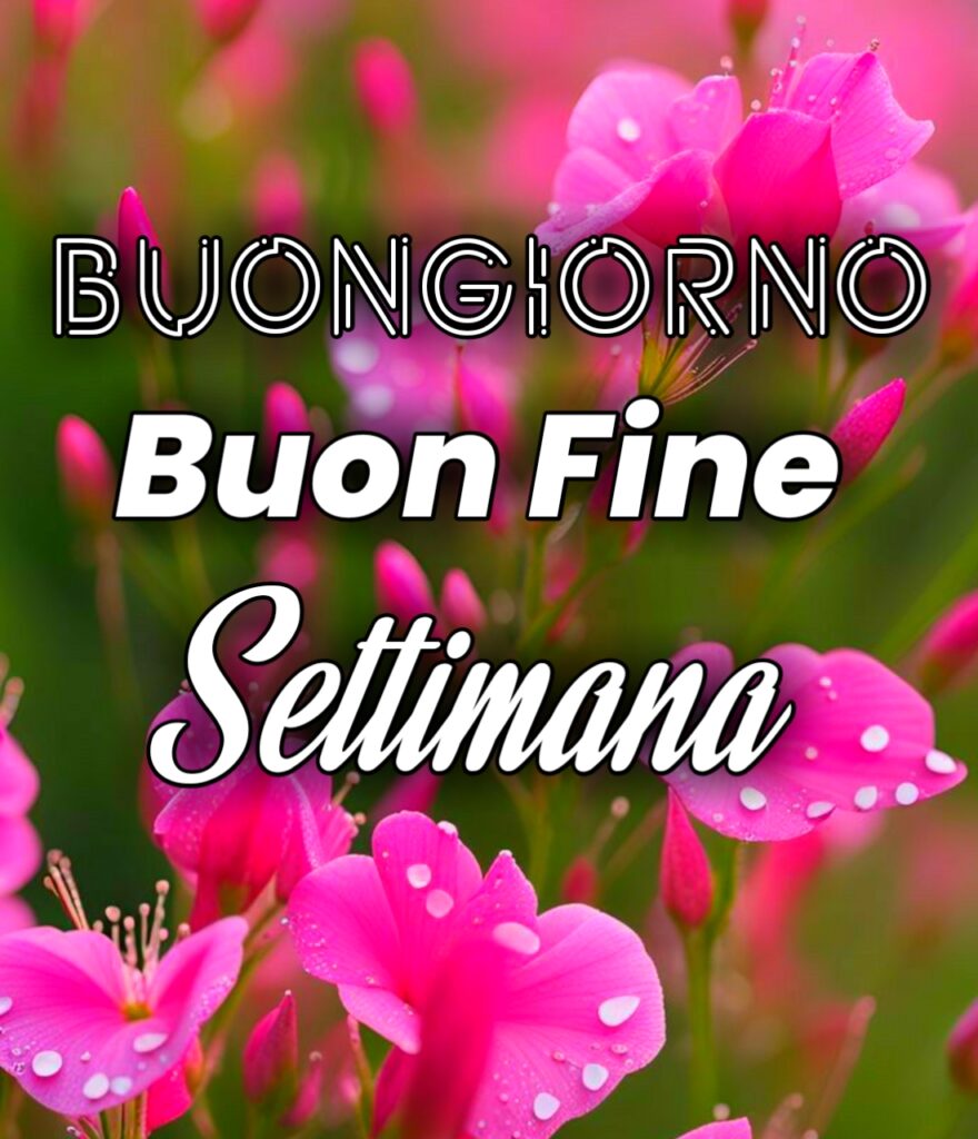 Buon Fine Settimana Immagini Nuove