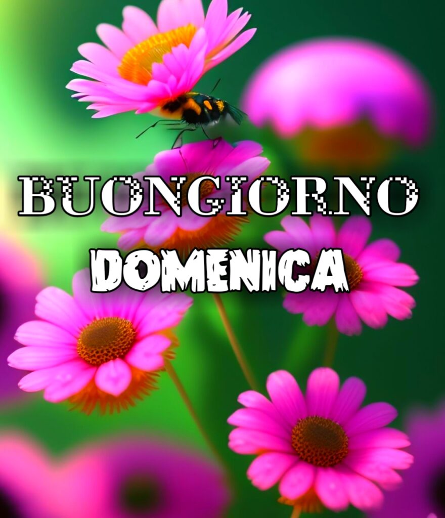 Buon Giorno Buona Domenica