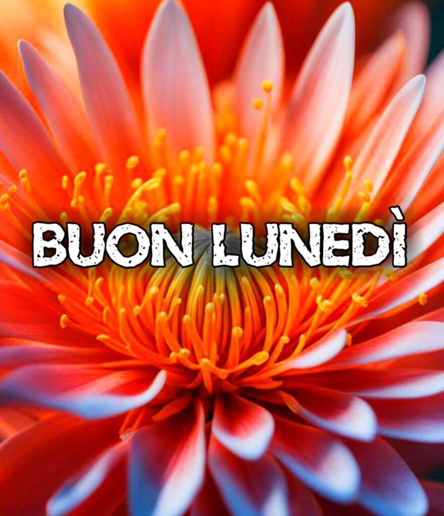 Buon Giorno E Buon Lunedì