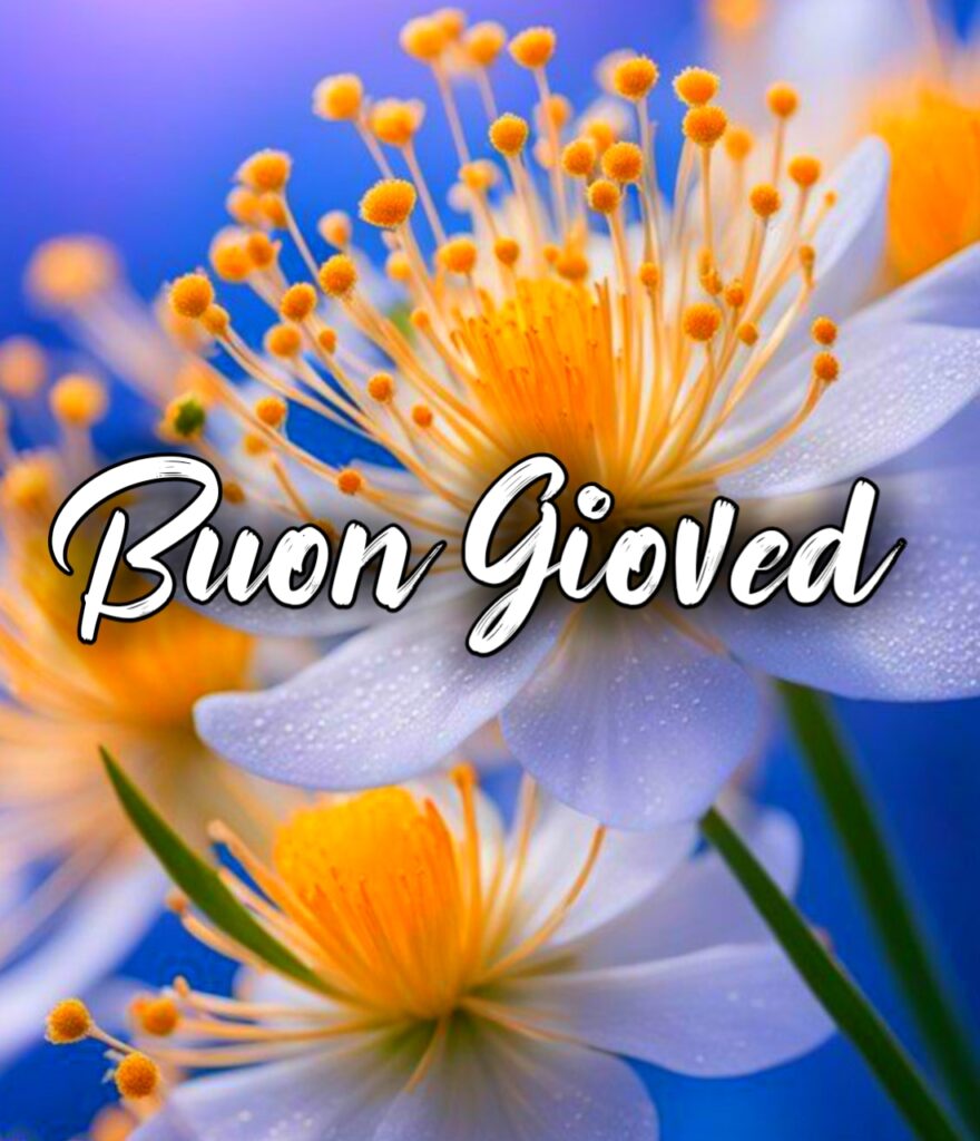 Buon Giovedi Allegro