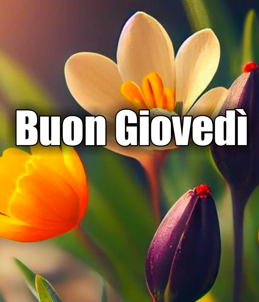 Buon Giovedì Autunnale