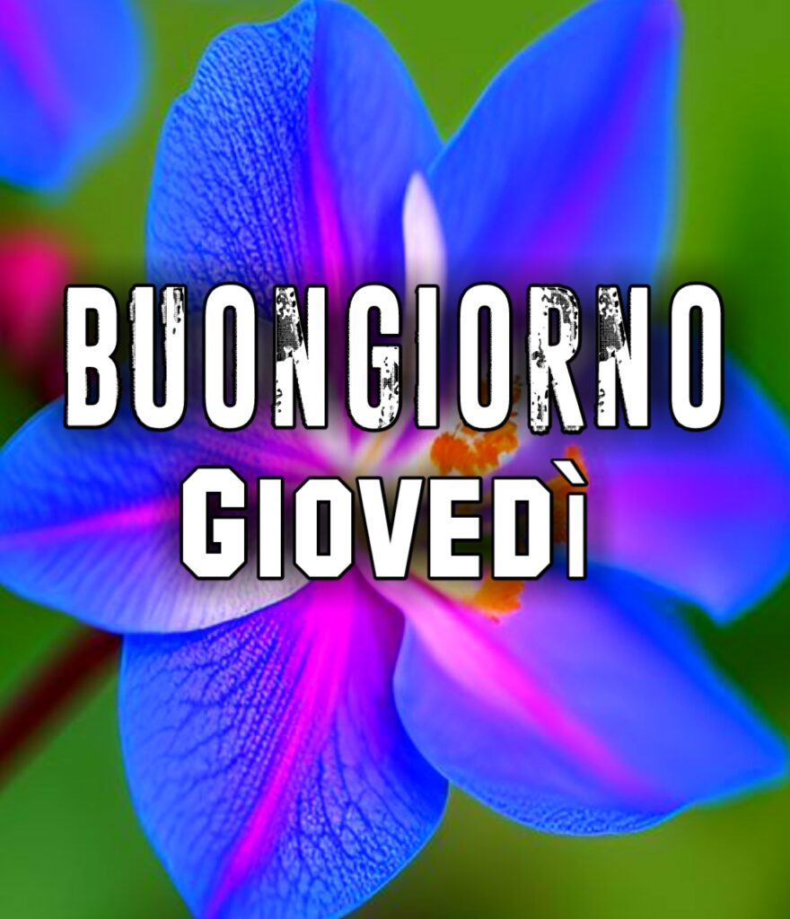 Buon Giovedi Buongiorno