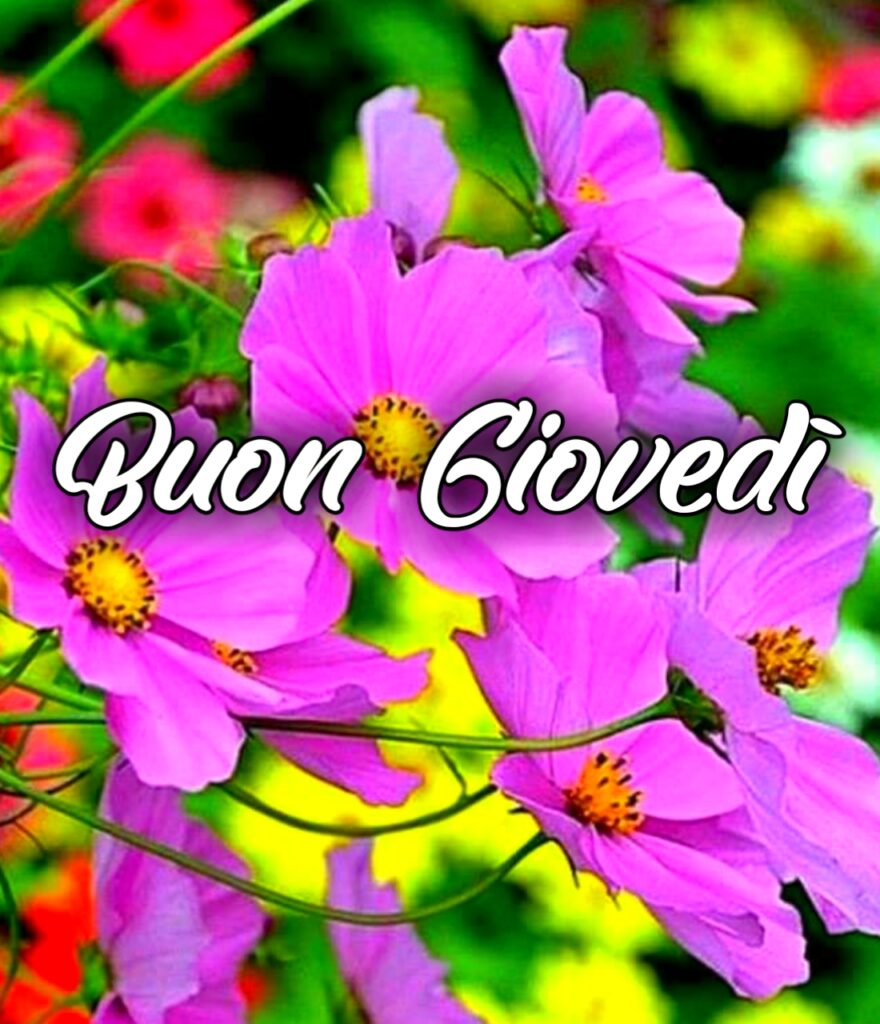 Buon Giovedì Gif