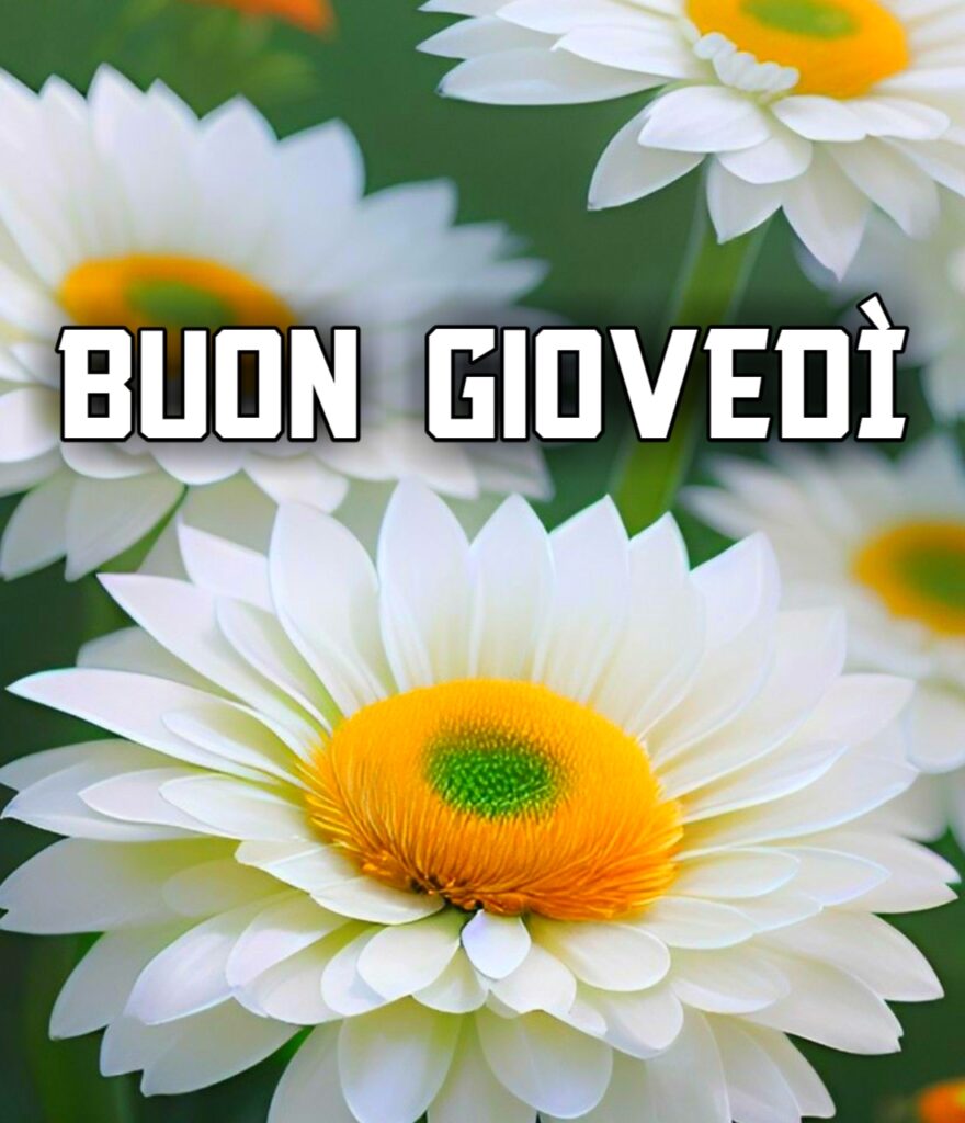 Buon Giovedi Piovoso