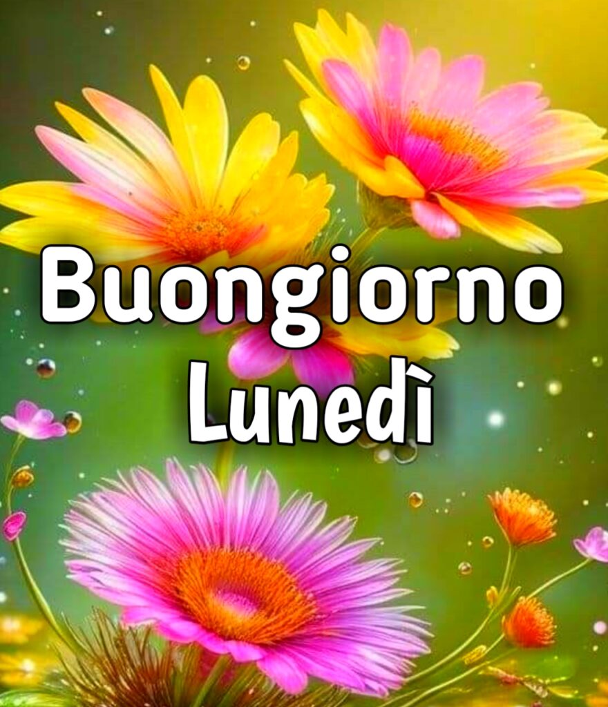 Buon Inizio Settimana Buon Lunedì