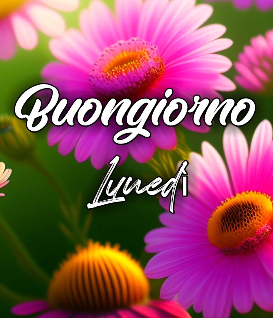 Buon Inizio Settimana Buongiorno