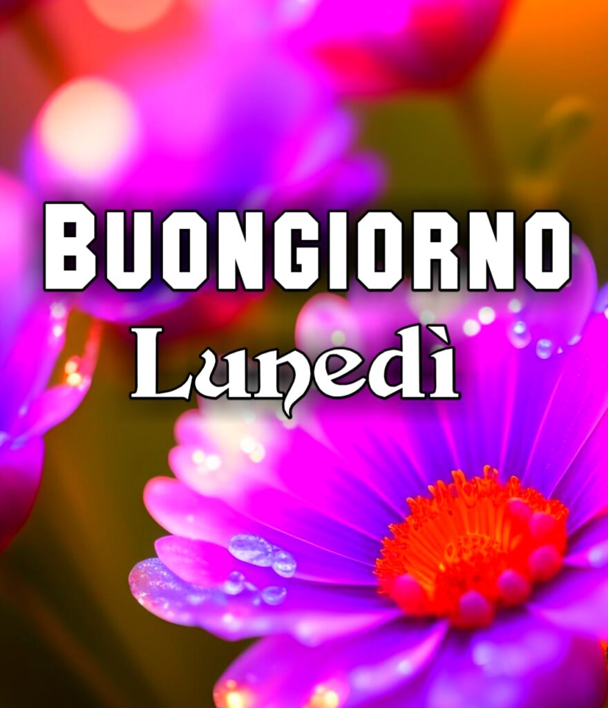 Buon Lunedi