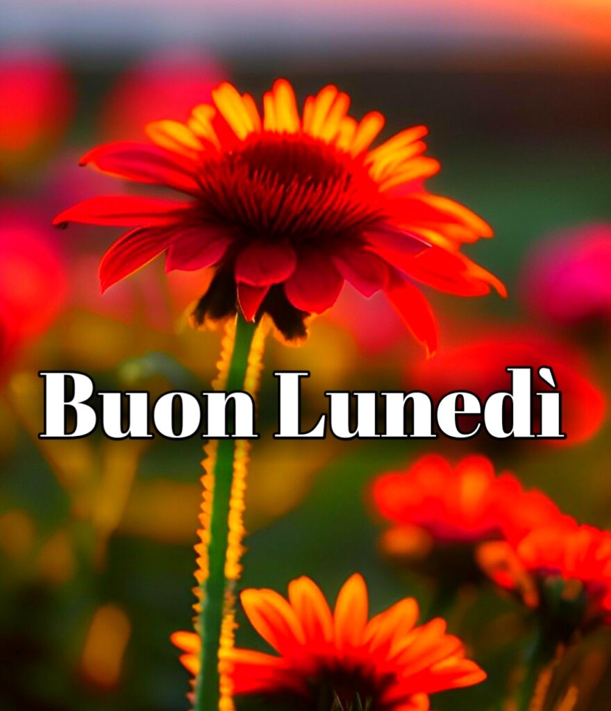 Buon Lunedì Autunnale