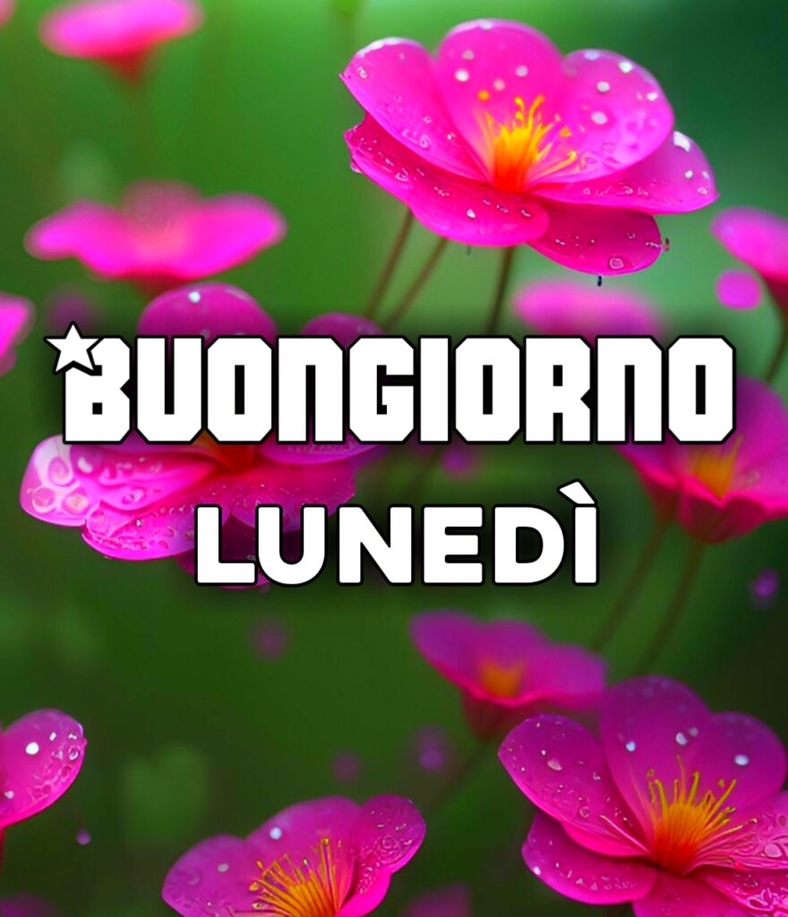 Buon Lunedì Buon Inizio Settimana