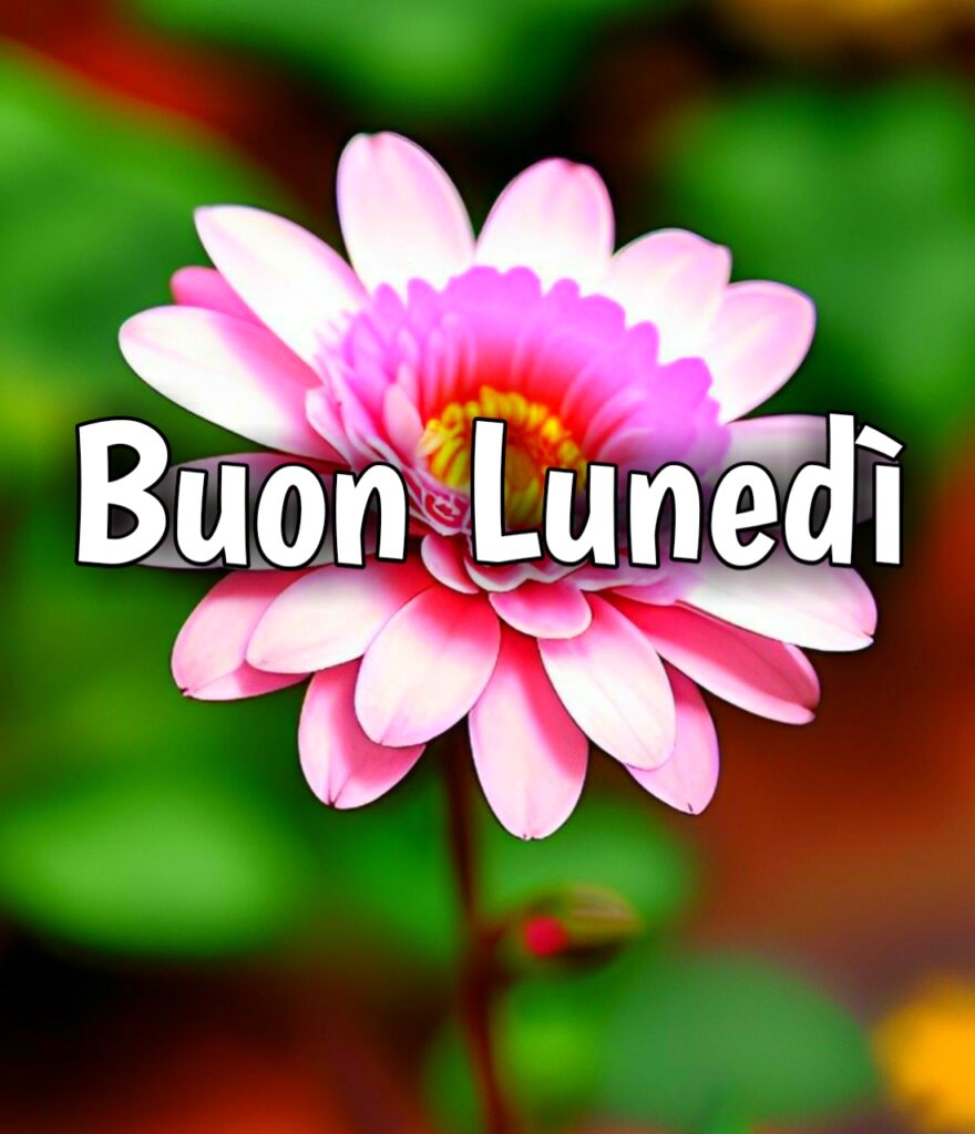 Buon Lunedì Buon Inizio Settimana