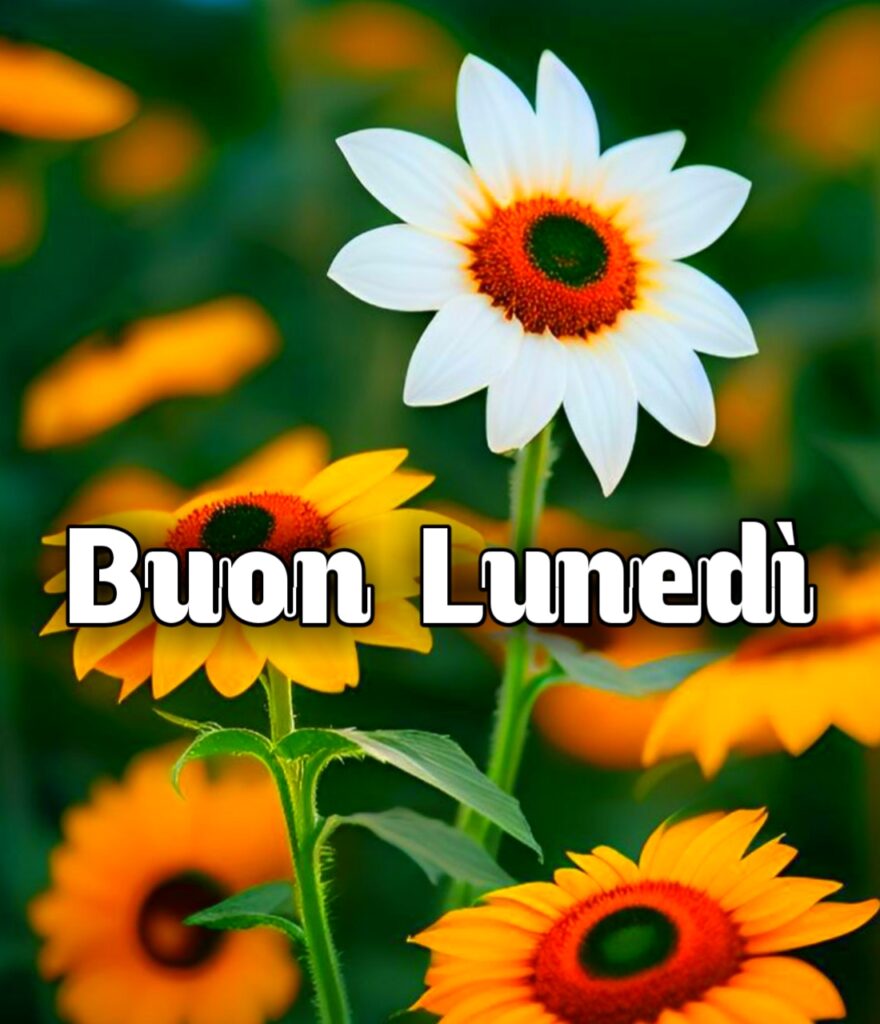 Buon Lunedi Buongiorno