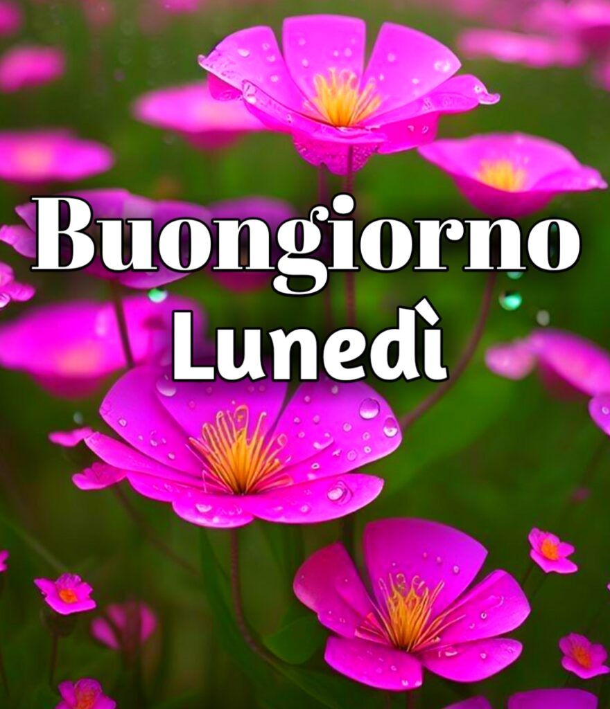 Buon Lunedì Buongiorno