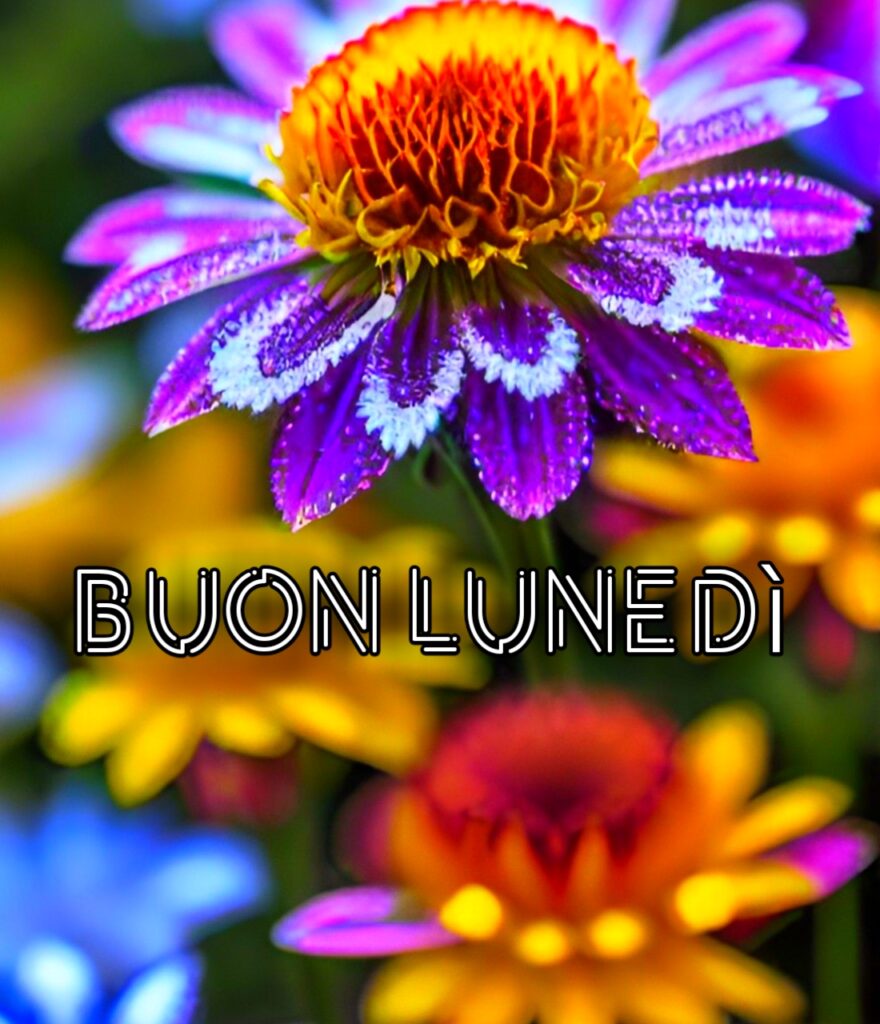 Buon Lunedì Divertente