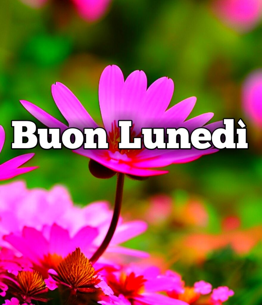 Buon Lunedì E Buona Settimana