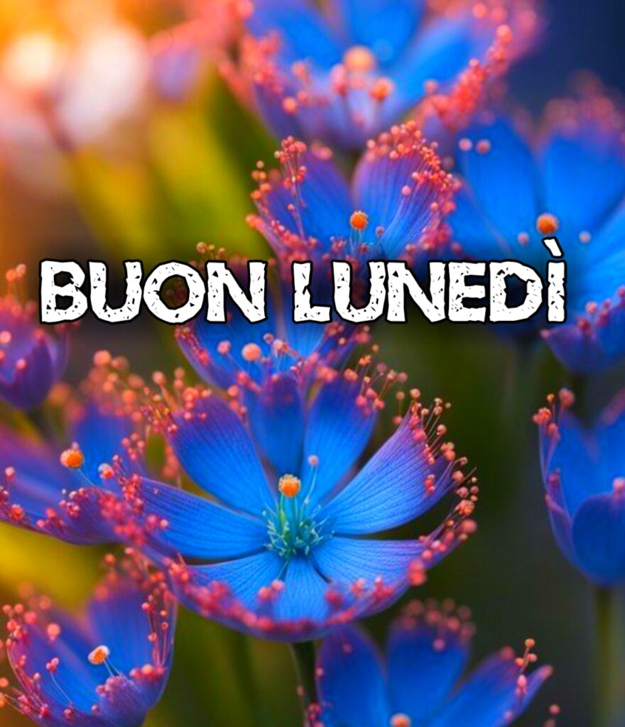 Buon Lunedì Estivo