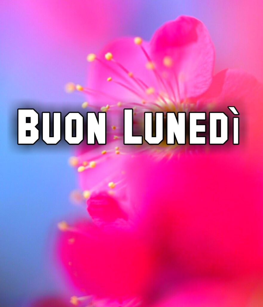 Buon Lunedi Estivo