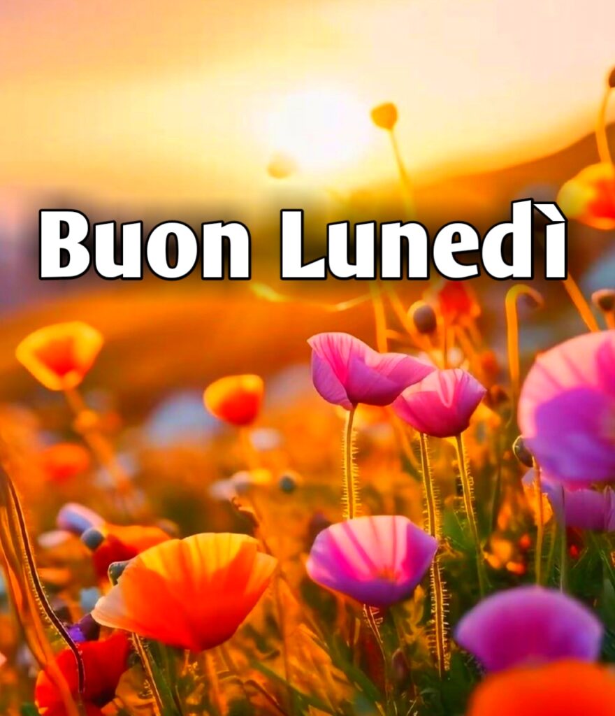 Buon Lunedì Immagini