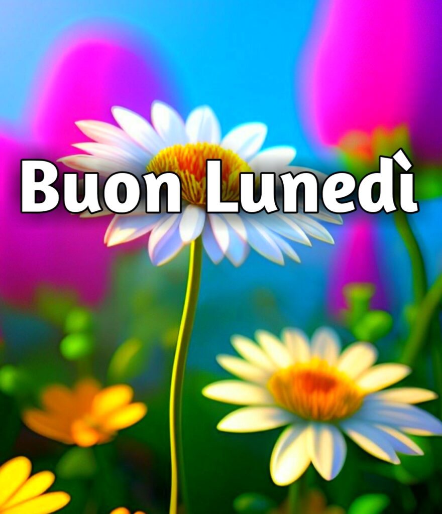 Buon Lunedì Invernale