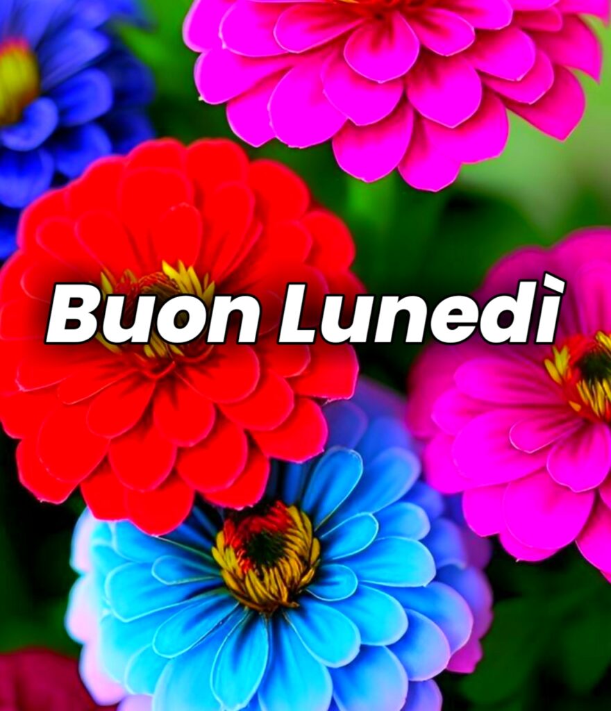 Buon Lunedi Invernale