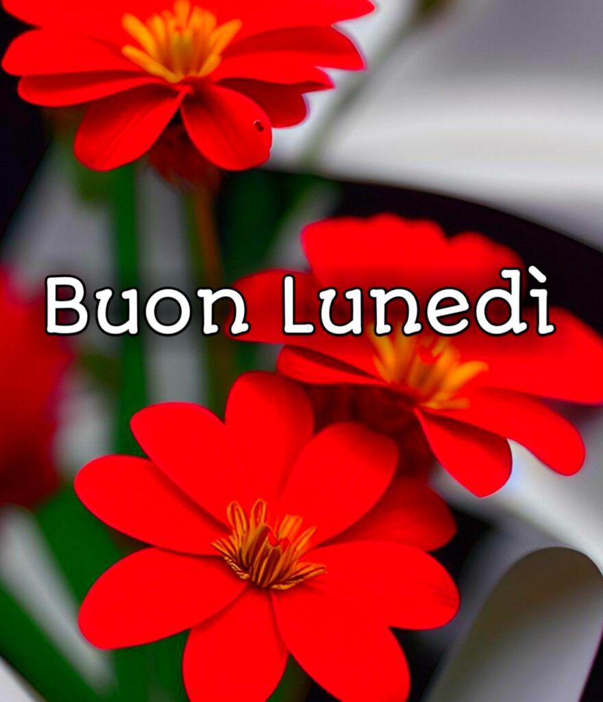 Buon Lunedi Simpatico