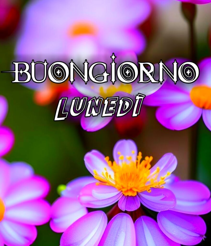 Buon Lunedì Whatsapp