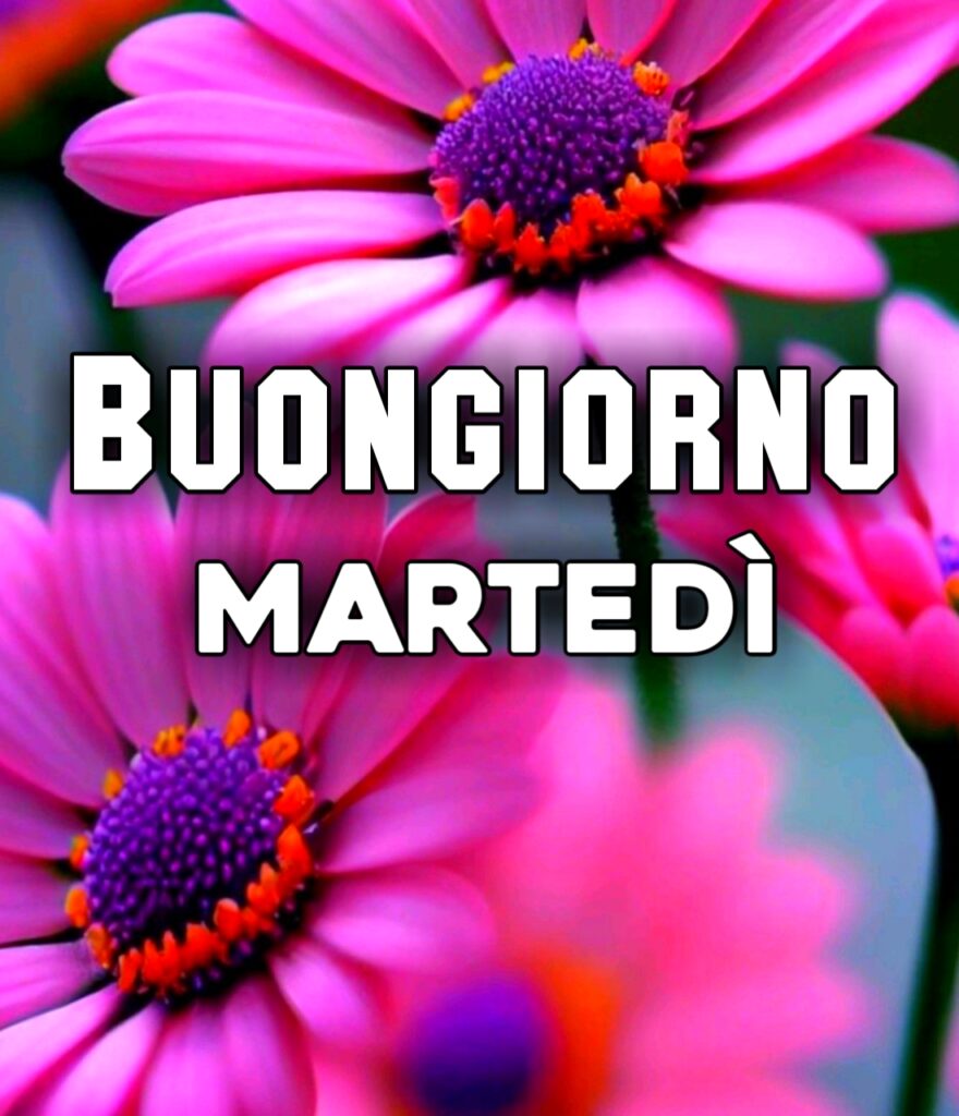 Buon Martedì Buongiorno