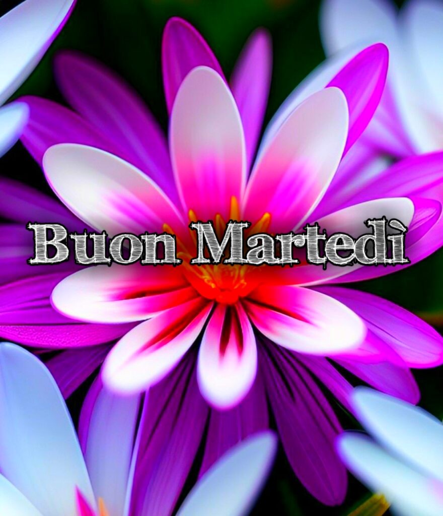 Buon Martedi Estivo