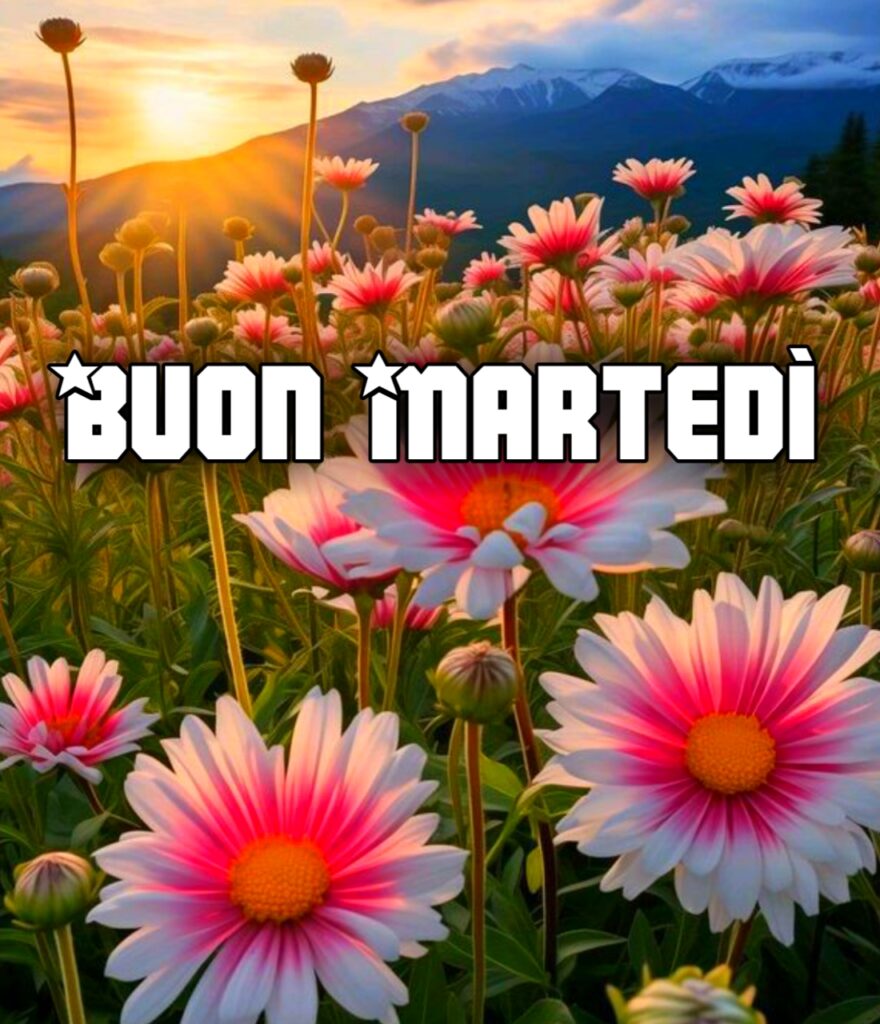 Buon Martedi Grasso