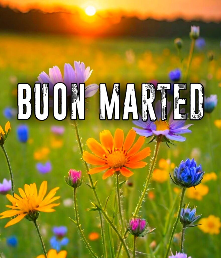 Buon Martedi Immagini