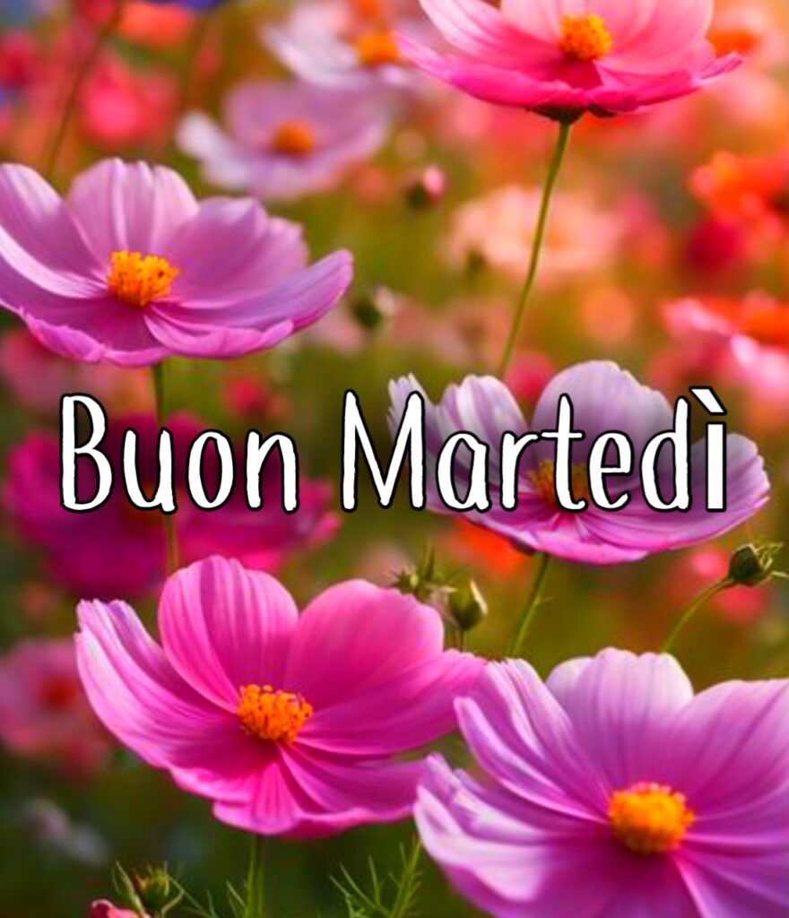 Buon Martedì Immagini