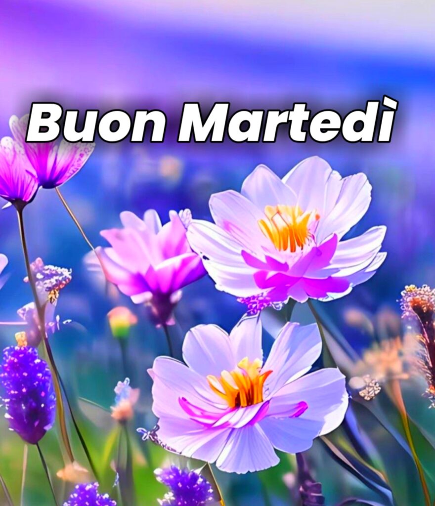 Buon Martedi Immagini Buongiorno