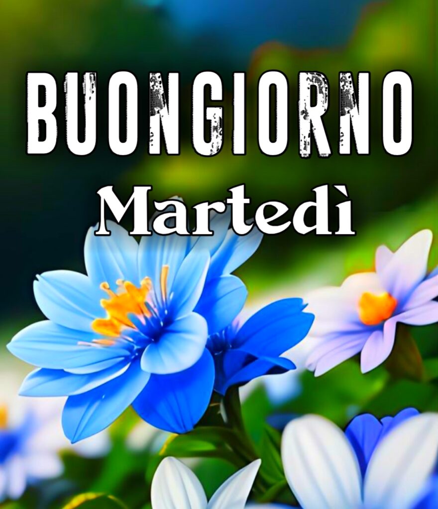 Buon Martedi Immagini Buongiorno