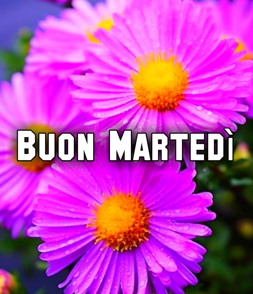 Buon Martedi Invernale