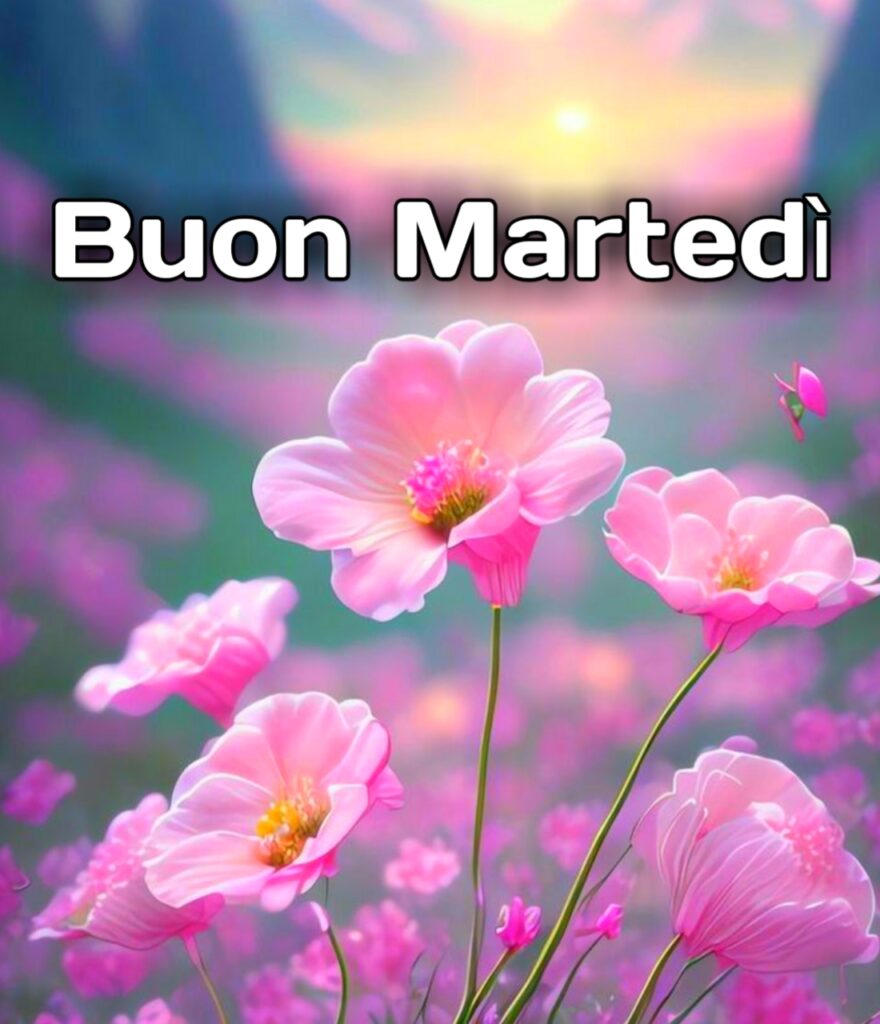 Buon Martedi Piovoso