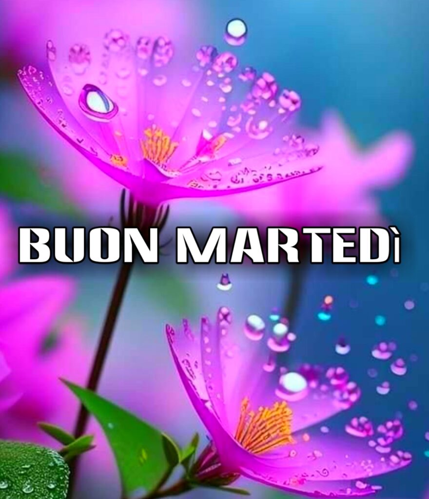 Buon Martedi Sant