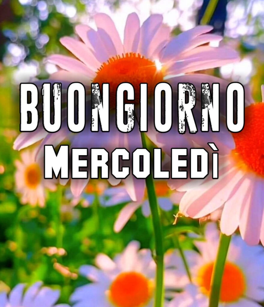 Buon Mercoledì Gif