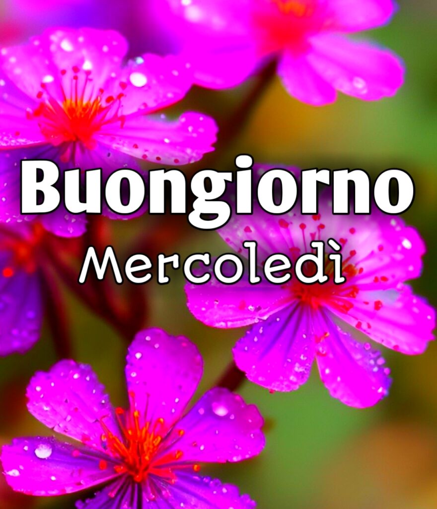 Buon Mercoledì Speciale