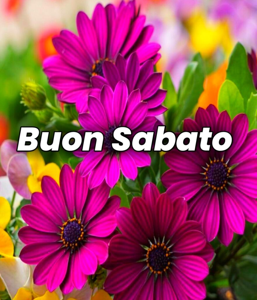 Buon Sabato Pomeriggio