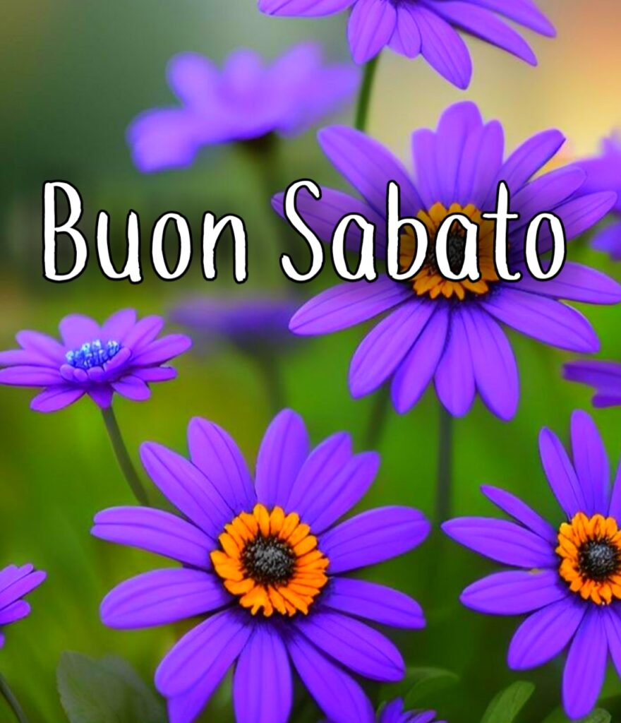 Buon Sabato Sera