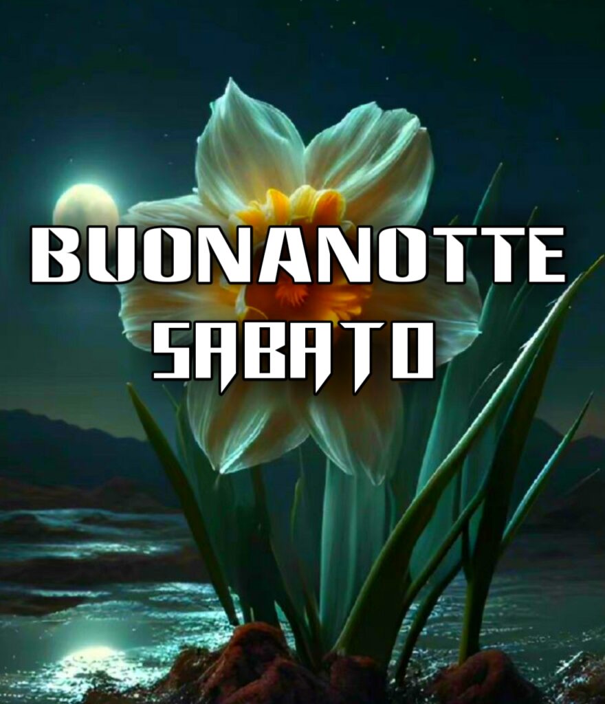 Buon Sabato Sera Buonanotte