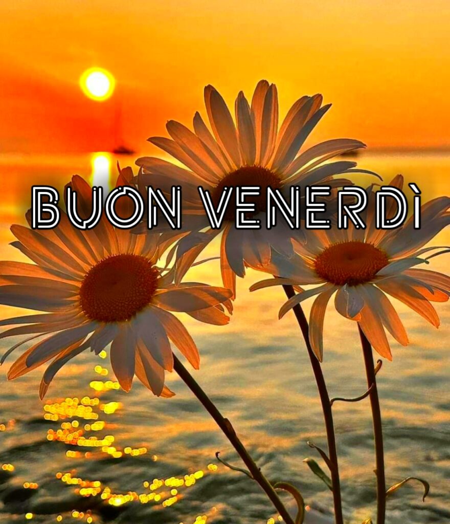 Buon Venerdi Buongiorno