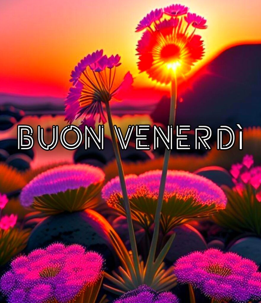 Buon Venerdi Divertente