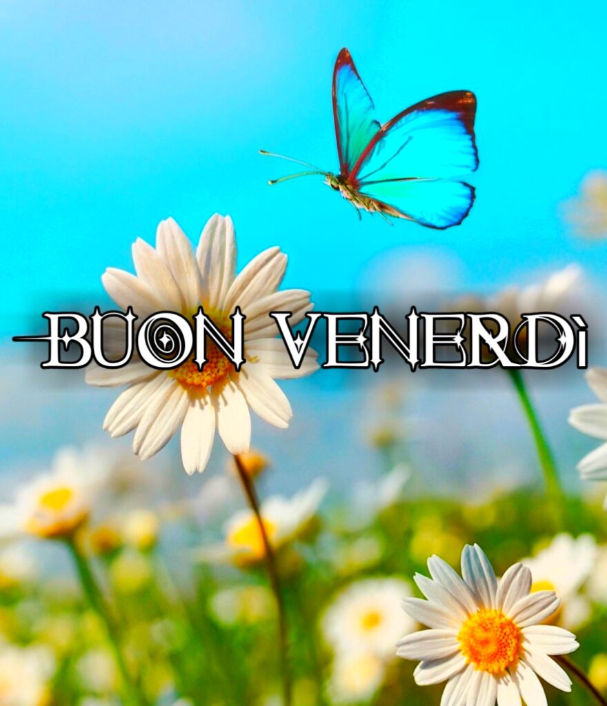 Buon Venerdi Divertenti