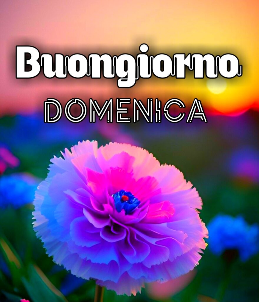 Buona Domenica